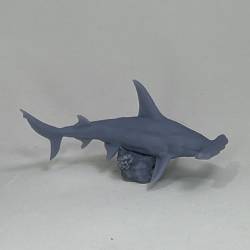 Hammerhead Shark